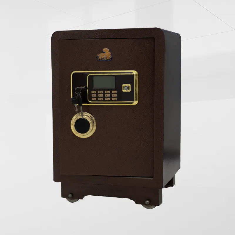 Medium Sized Safe